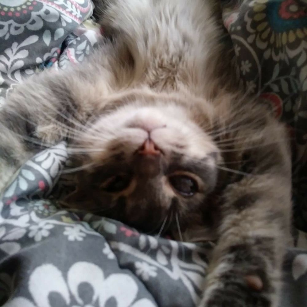 Meet your Posher, Patricia